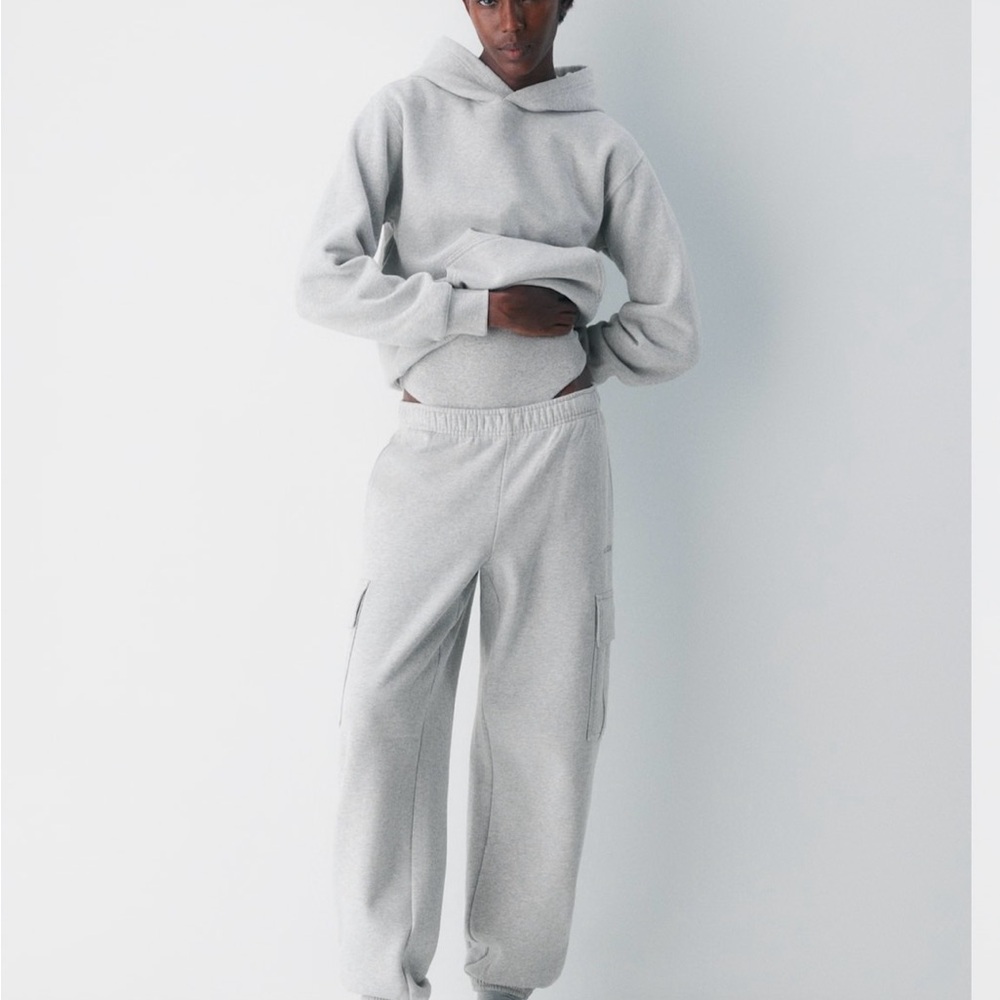 Aritzia Cozy Sweatfleece Perfect Hoodie NWT